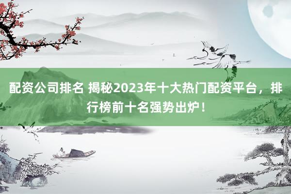 配资公司排名 揭秘2023年十大热门配资平台，排行榜前十名强势出炉！