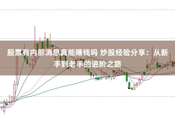 股票有内部消息真能赚钱吗 炒股经验分享：从新手到老手的进阶之路