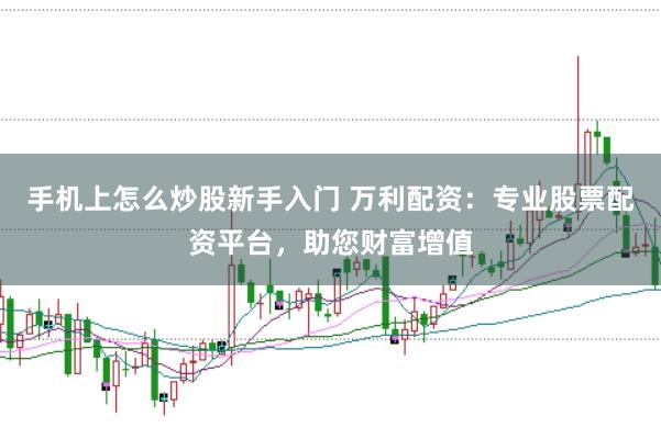 手机上怎么炒股新手入门 万利配资：专业股票配资平台，助您财富增值
