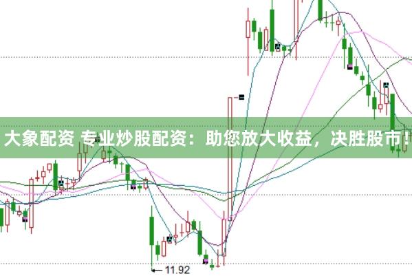 大象配资 专业炒股配资：助您放大收益，决胜股市！