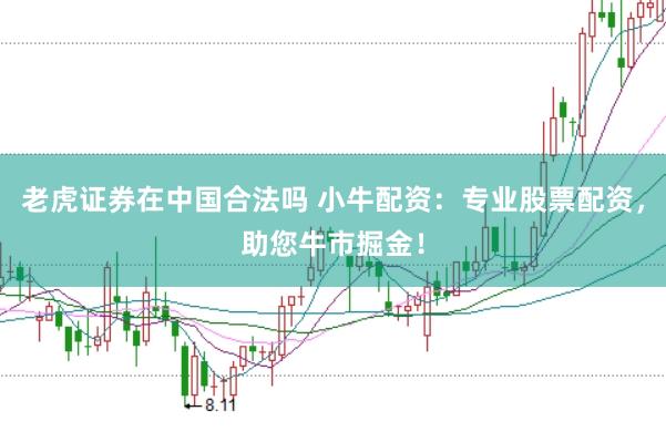 老虎证券在中国合法吗 小牛配资：专业股票配资，助您牛市掘金！