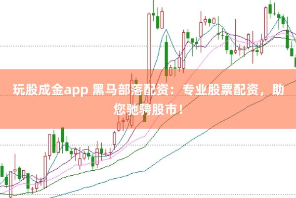 玩股成金app 黑马部落配资：专业股票配资，助您驰骋股市！