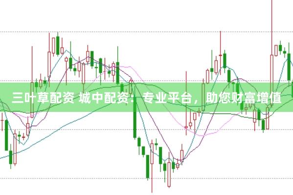 三叶草配资 城中配资：专业平台，助您财富增值