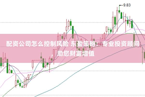 配资公司怎么控制风险 东盈策略：专业投资顾问，助您财富增值