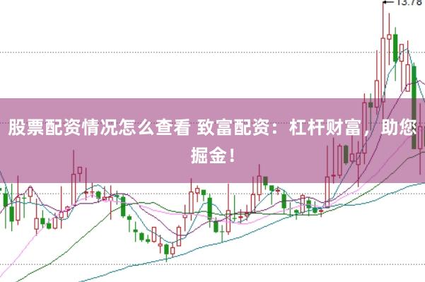 股票配资情况怎么查看 致富配资：杠杆财富，助您掘金！