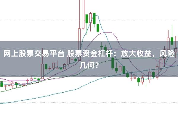 网上股票交易平台 股票资金杠杆：放大收益，风险几何？