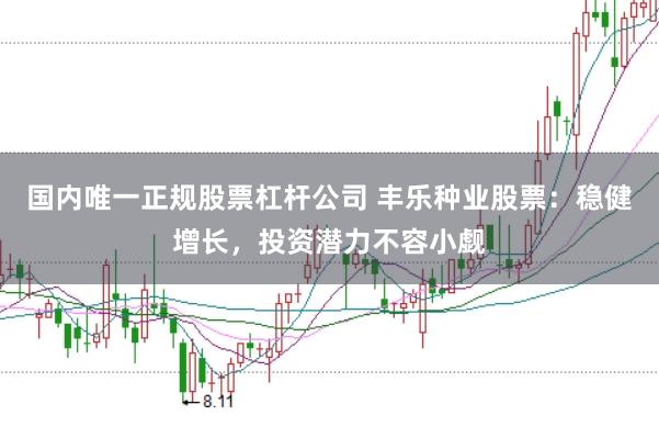 国内唯一正规股票杠杆公司 丰乐种业股票：稳健增长，投资潜力不容小觑