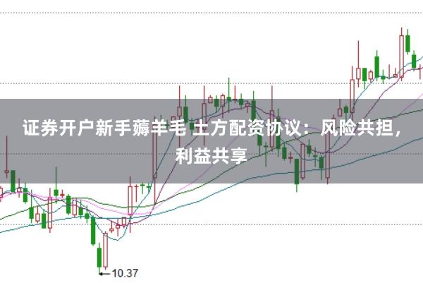 证券开户新手薅羊毛 土方配资协议：风险共担，利益共享