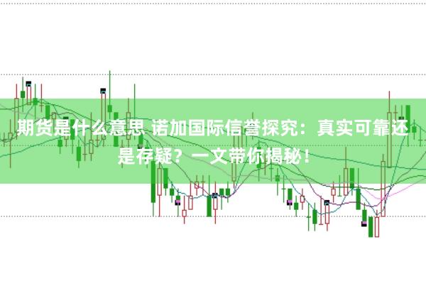 期货是什么意思 诺加国际信誉探究：真实可靠还是存疑？一文带你揭秘！