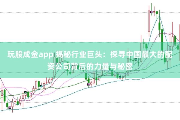 玩股成金app 揭秘行业巨头：探寻中国最大的配资公司背后的力量与秘密