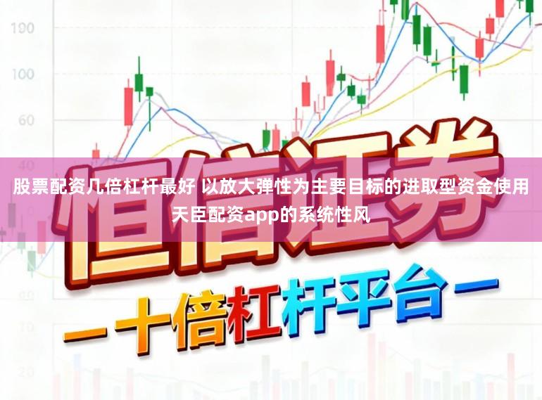 股票配资几倍杠杆最好 以放大弹性为主要目标的进取型资金使用天臣配资app的系统性风