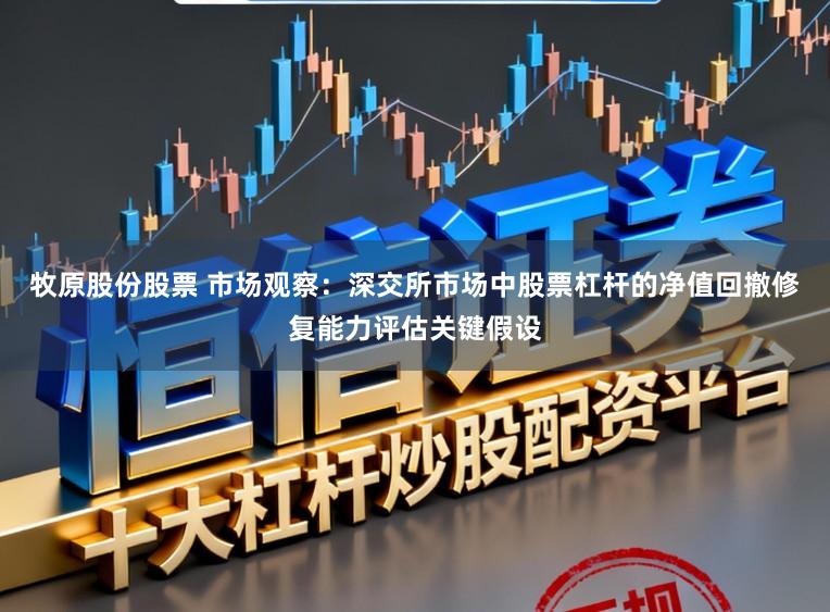 牧原股份股票 市场观察：深交所市场中股票杠杆的净值回撤修复能力评估关键假设